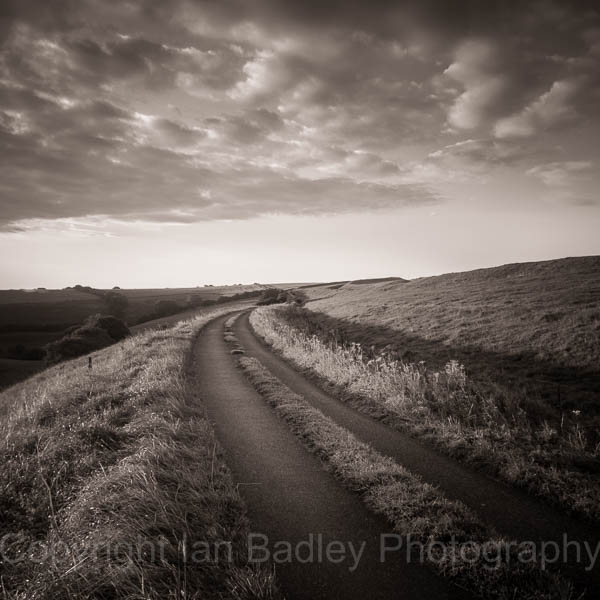 Country Lane at dawn, Dorset, England