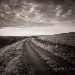 Country Lane at dawn, Dorset, England