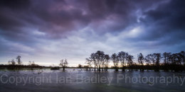 Flood meadow with trees, Dorset, England