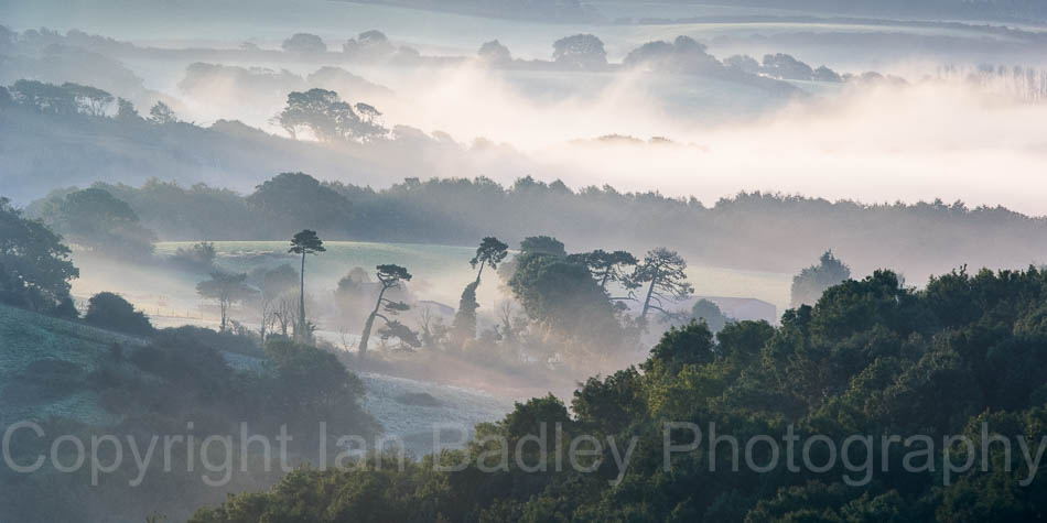 Misty dawn over Knighton Down, Isle of Wight, England