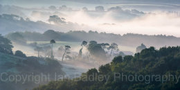 Misty dawn over Knighton Down, Isle of Wight, England