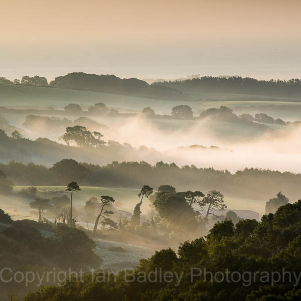 Misty dawn over Knighton Down, Isle of Wight, England