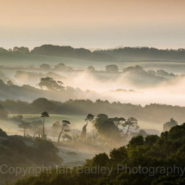 Misty dawn over Knighton Down, Isle of Wight, England
