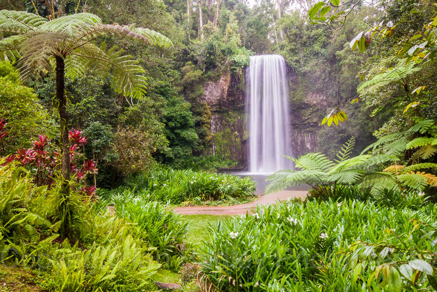 Australia, Queensland, Millaa Millaa Falls