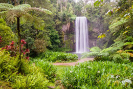Australia, Queensland, Millaa Millaa Falls