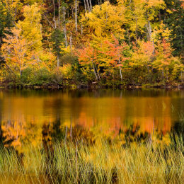 Autumn colour in Cape Breton, Nova Scotia, Canada