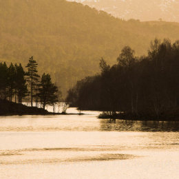 Backlit trees on a Loch in the Highlands of Scotland