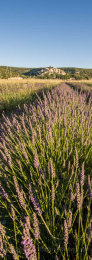 Long lavender field view to Banon, Provence, France