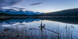 Twilight dawn in Jasper National Park, Canada
