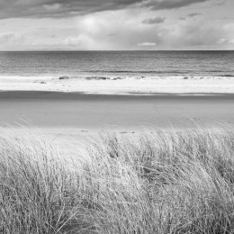 Grasses and sandy beach at Red Point, Scotland west coast