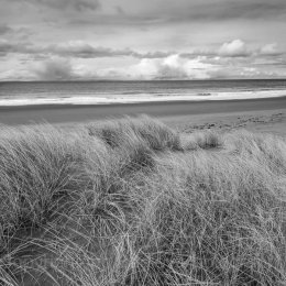 Sand dune grasses on Red Point beach, North west Scotland