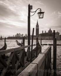Italy, Venice, The seagull and gondola