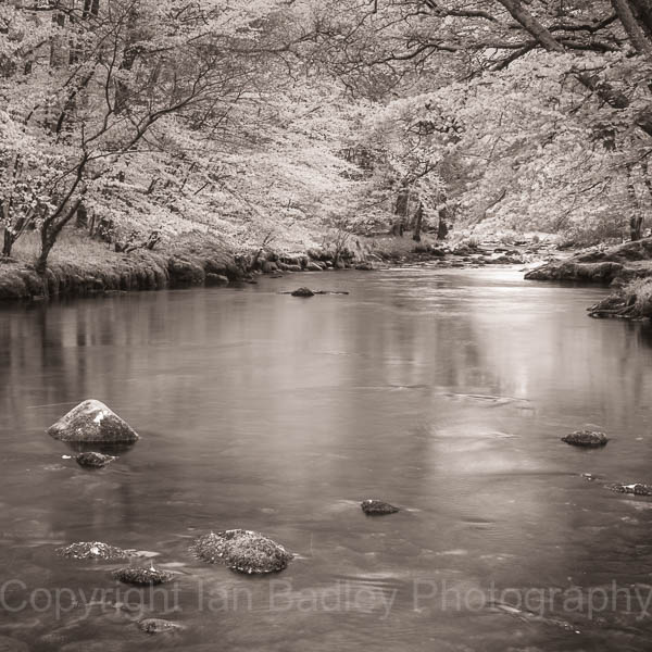 River dart in monochrome, Devon, England