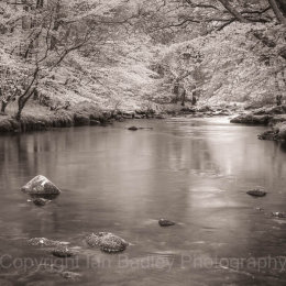 River dart in monochrome, Devon, England