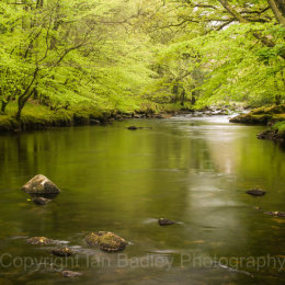 River dart in monochrome, Devon, England