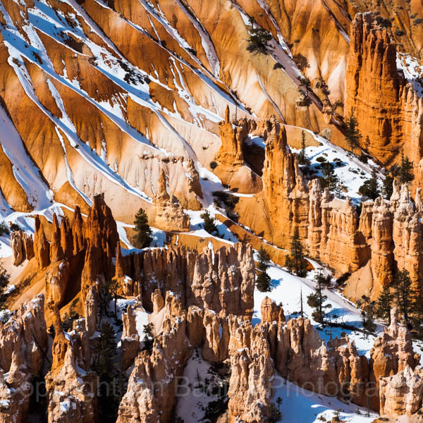 Snow covered hoo-doos in Bryce Canyon National Park, Utah, USA