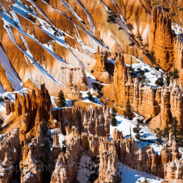 Snow covered hoo-doos in Bryce Canyon National Park, Utah, USA