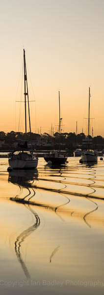 Moored sailing yachts at dawn on the River Hamble, Hampshire, England