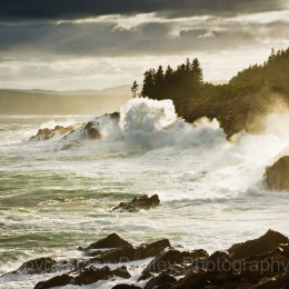 Green Cove Square, Cape Breton National Park, Nova Scotia, Canada.tif