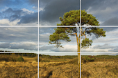 Rule of Thirds