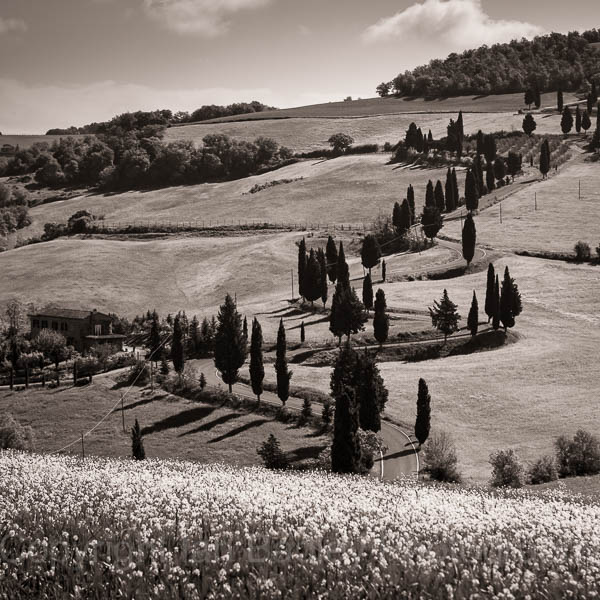 Zig Zag road in Tuscany, Italy