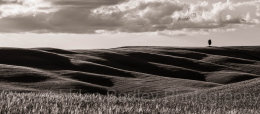 Rolling hills in Tuscany, Italy