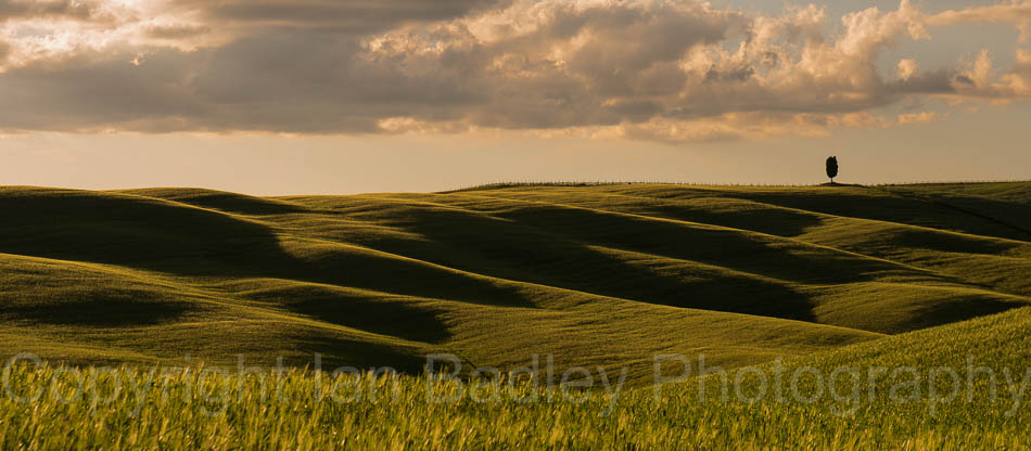 Rolling hills in Tuscany, Italy