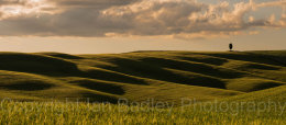 Rolling hills in Tuscany, Italy