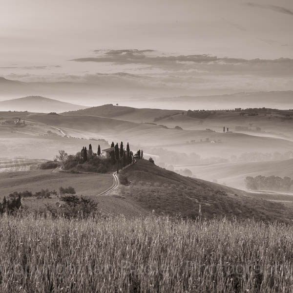 Belveder, UNESCO Val d'Orcia, Tuscany, Italy