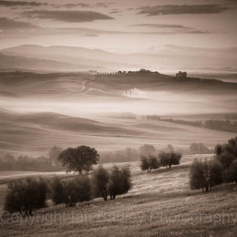 Trees and sunrise over the UNESCO Val d'Orcia, Italy