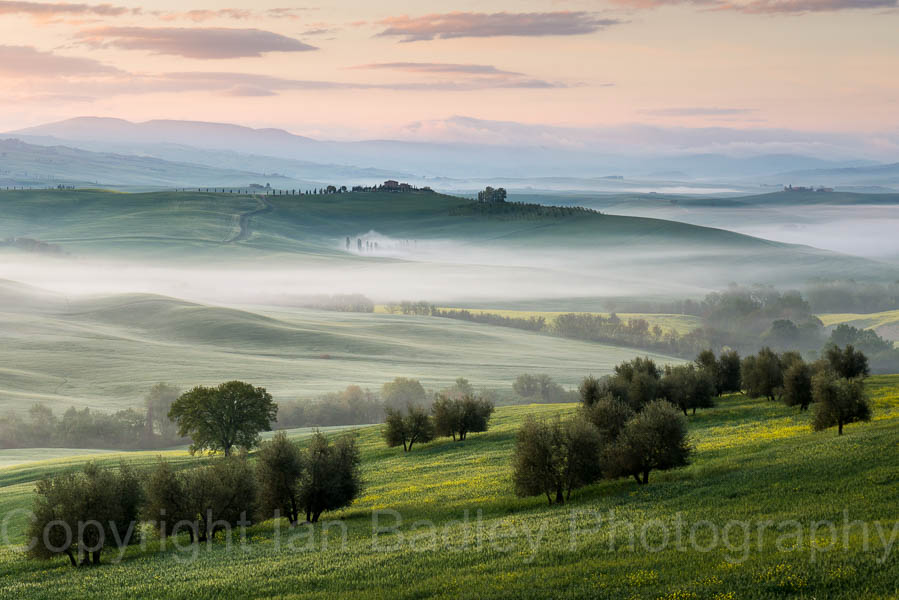 Trees and sunrise over the UNESCO Val d'Orcia, Italy