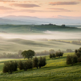 Trees and sunrise over the UNESCO Val d'Orcia, Italy