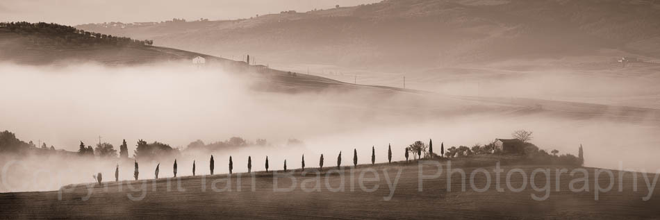Cypress trees and villa with mist, Tuscany, Italy