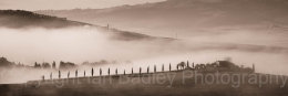 Cypress trees and villa with mist, Tuscany, Italy