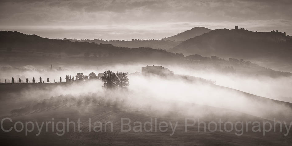 Dawn mist with cypress trees, Tuscany, Italy