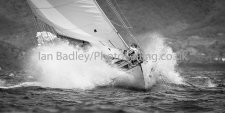 Yacht Lone Fox makes a splash