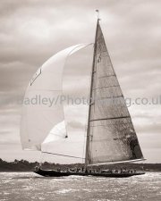 J Class Velsheda with spinnaker
