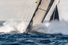 NEW - J Class Shamrock V