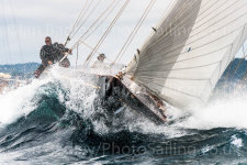 NEW - J Class Shamrock V