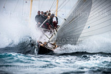 NEW - J Class Shamrock V
