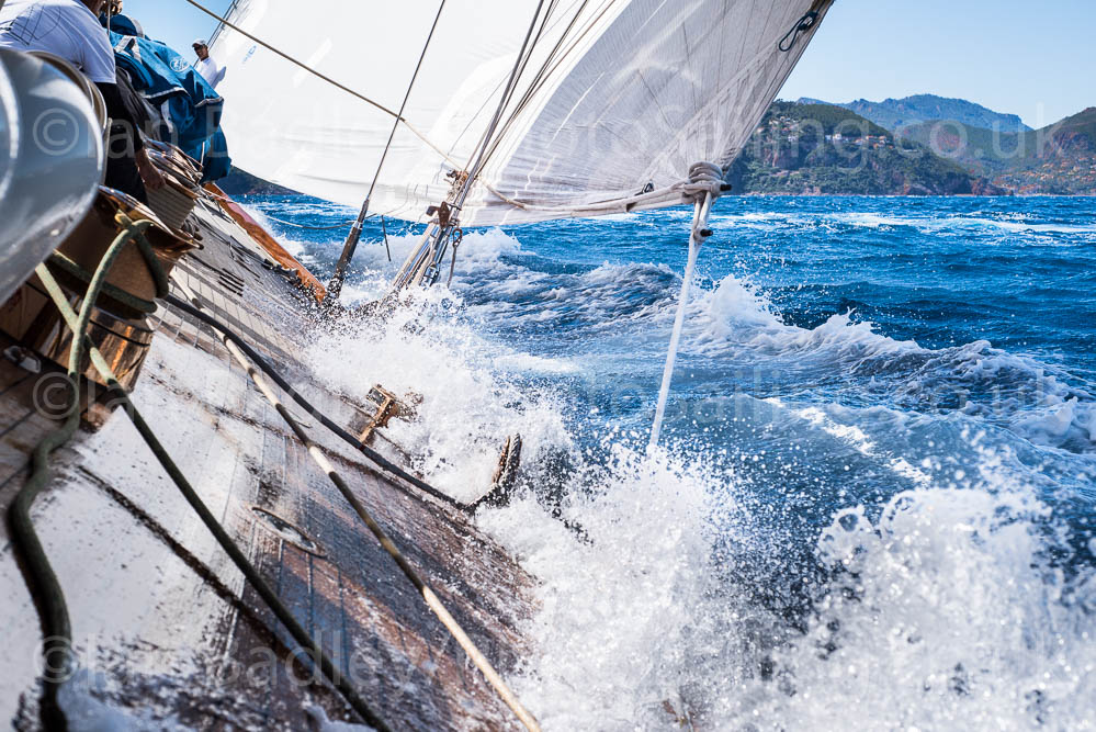 NEW - J Class Shamrock V
