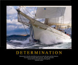 DETERMINATION is the drive and ability to carry out a task with vigour and firm intentions.