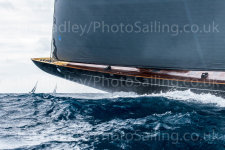 NEW - J Class Lionheart