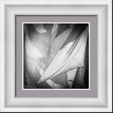 Light Sails