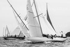 zwb-5036