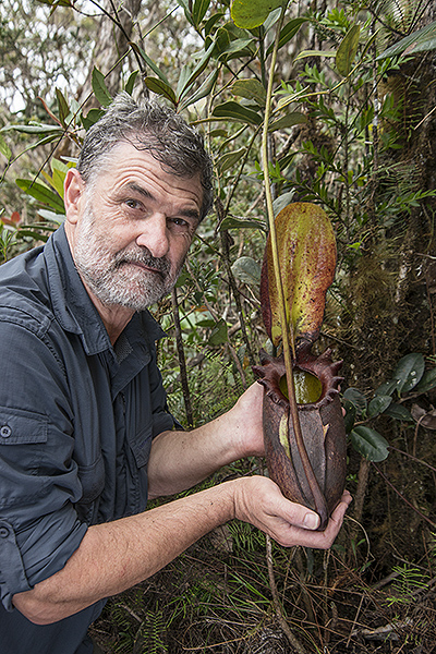 Adrian Davies with Nepenthes rajah in Borneo