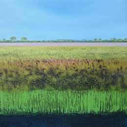 Adventurers' Fen X