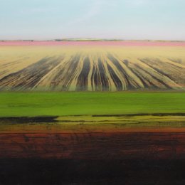 After The Harvest VIII