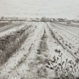 Along The Cut