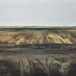 Black Fen III